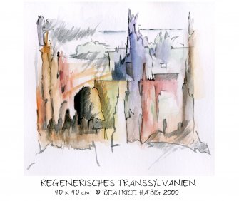 022_aq011_regnerisches_transsylvanien