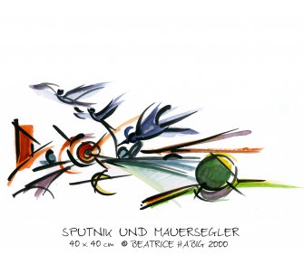 023_aq019_sputnik_und_mauersegler